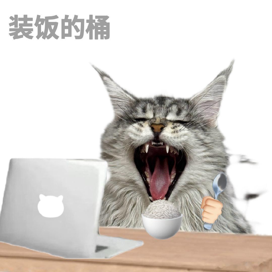 全球首款个人Transformer机器人亮相机器人或拯救男友摄像视角人形四足自由