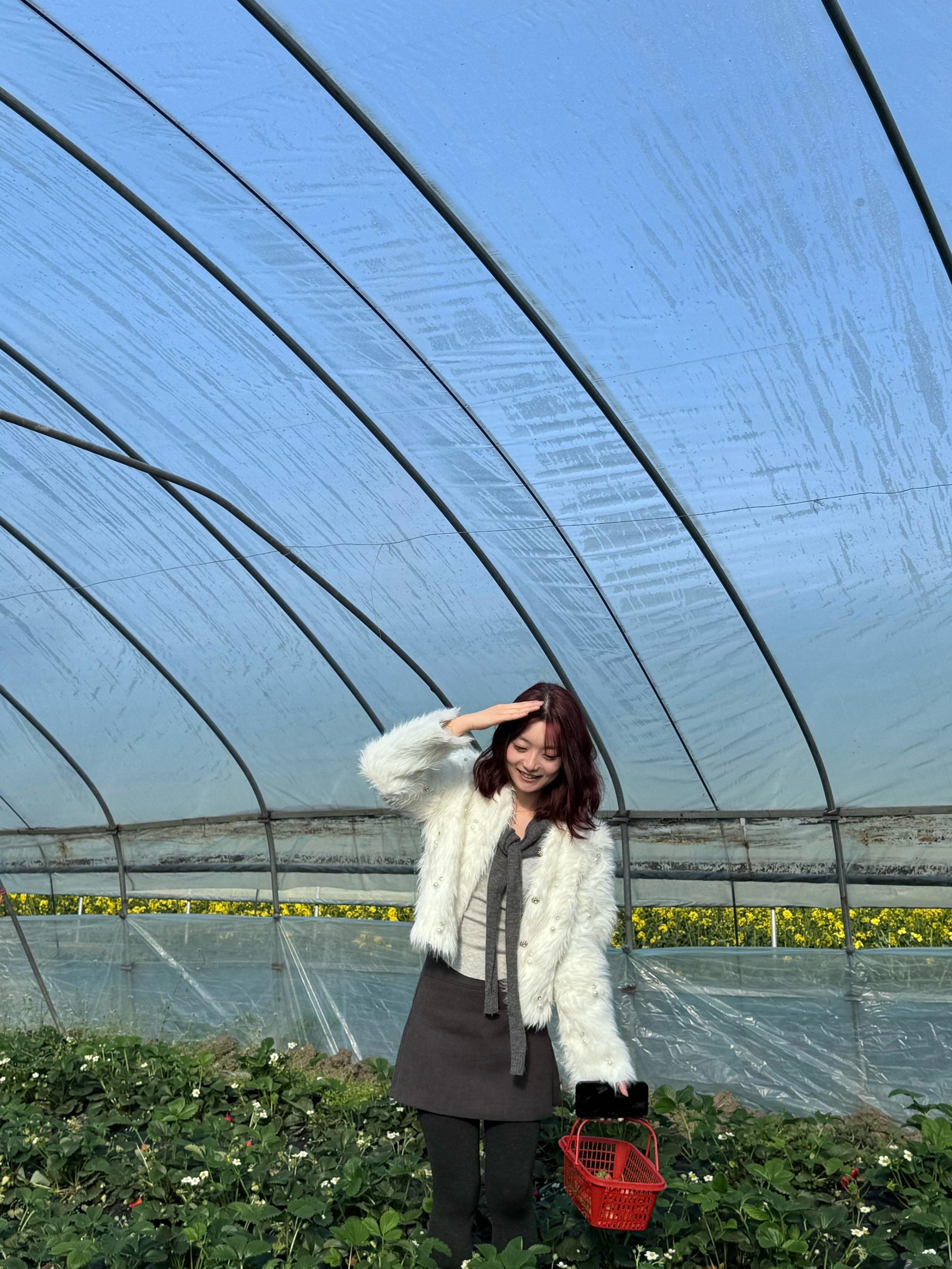 天气真好 出来摘草莓