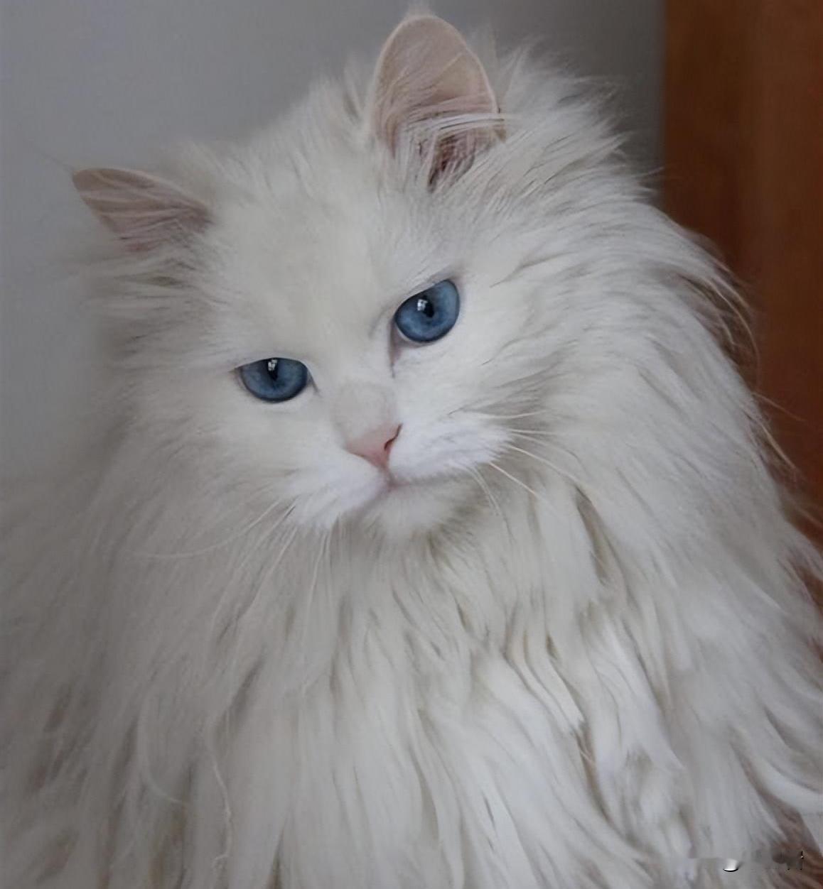 #评论员：伊若遭美军攻击恐无弹性空间##专家分析美军会怎么打伊朗#美国可以想怎么