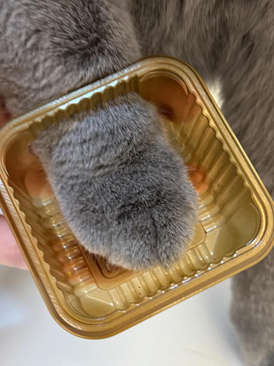 急急急🆘长毛的月饼还能吃吗？？？🥮