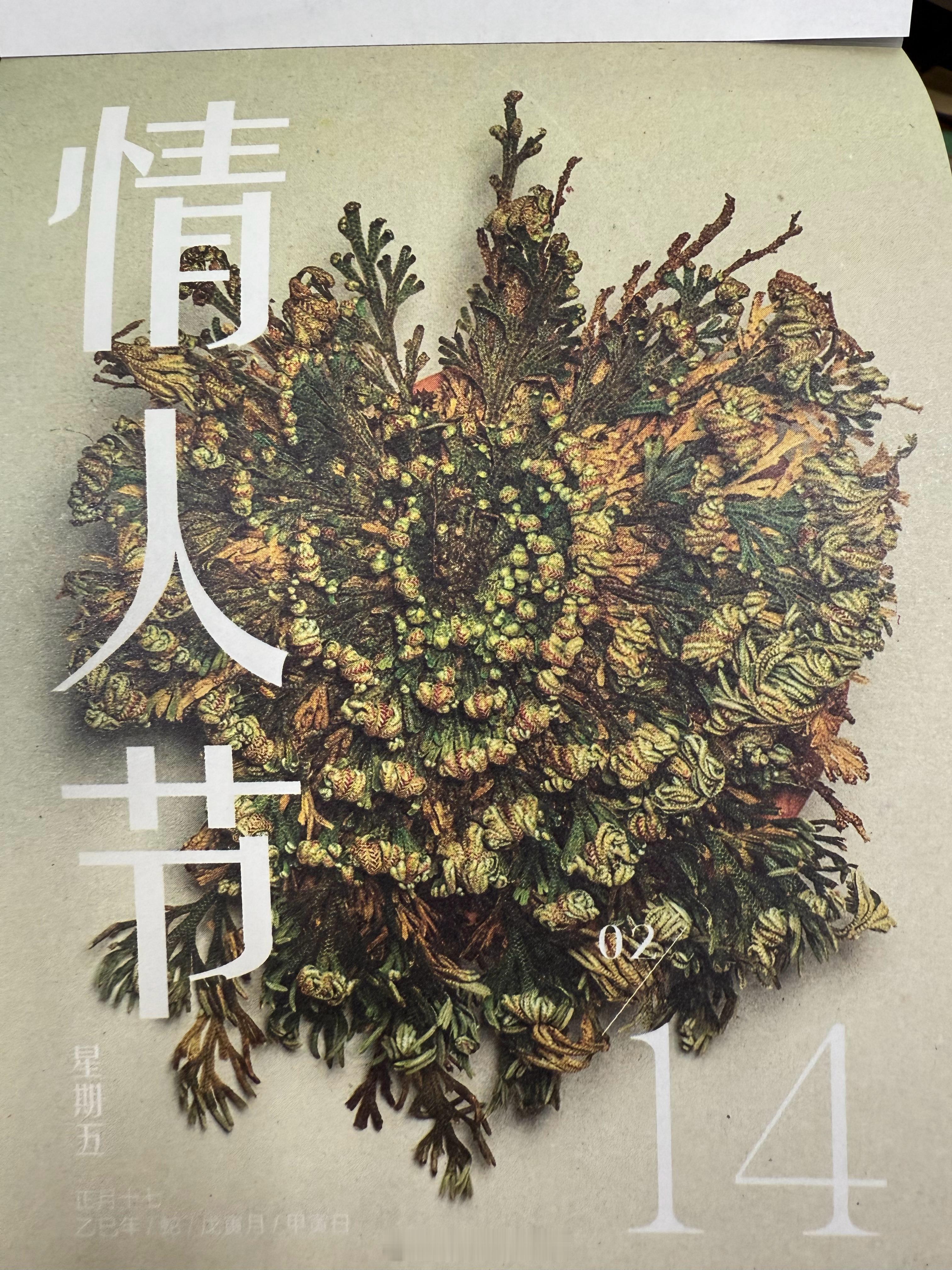 朋友们周五快乐～ 