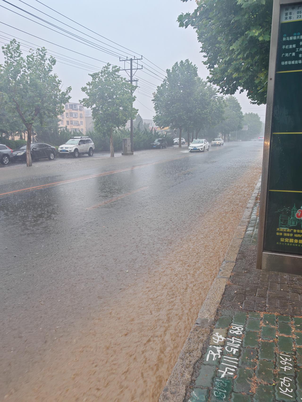 经过前天一场暴风雨的洗礼，街面和空气干净了不少。
虽然说昨天白天，由于雨水过多，