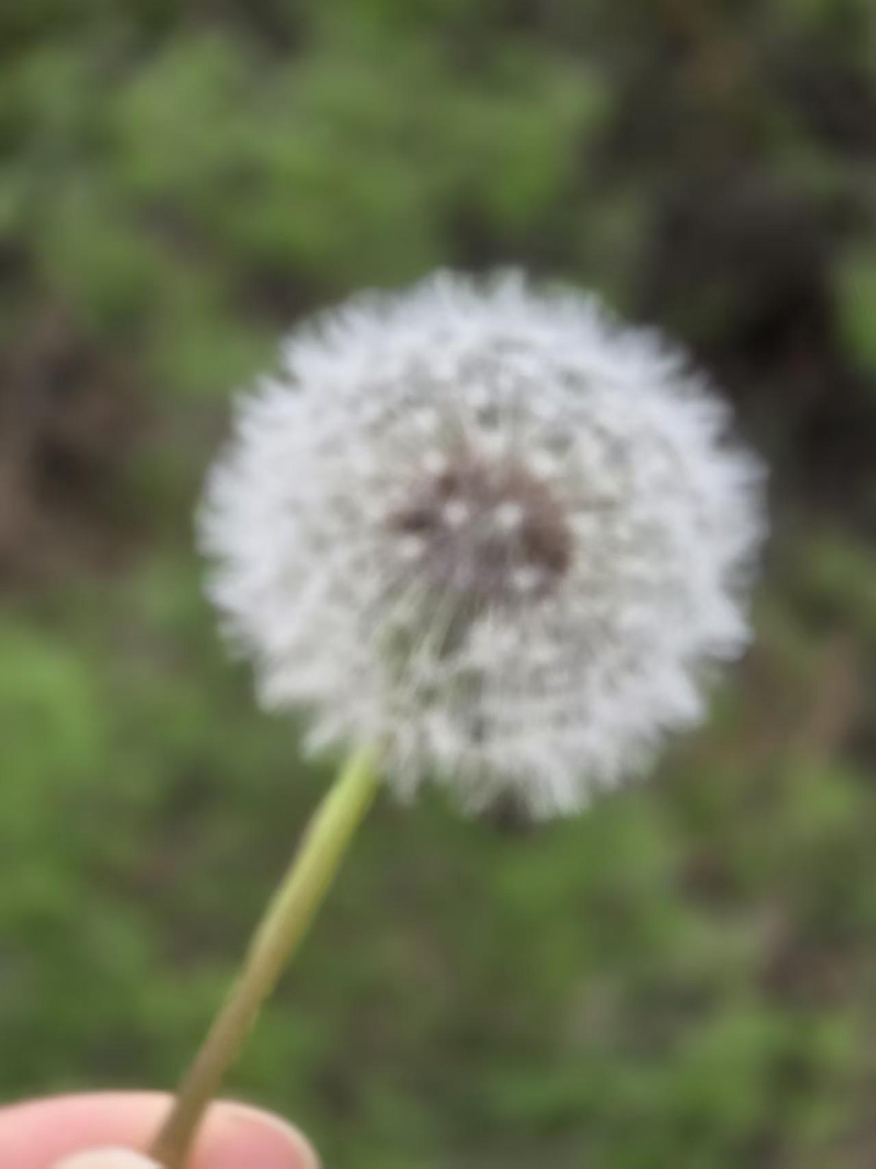 看了《笑傲江湖》，江湖险恶，人心难测，就像岳不群，表面道貌岸然，实则阴险狡诈，为