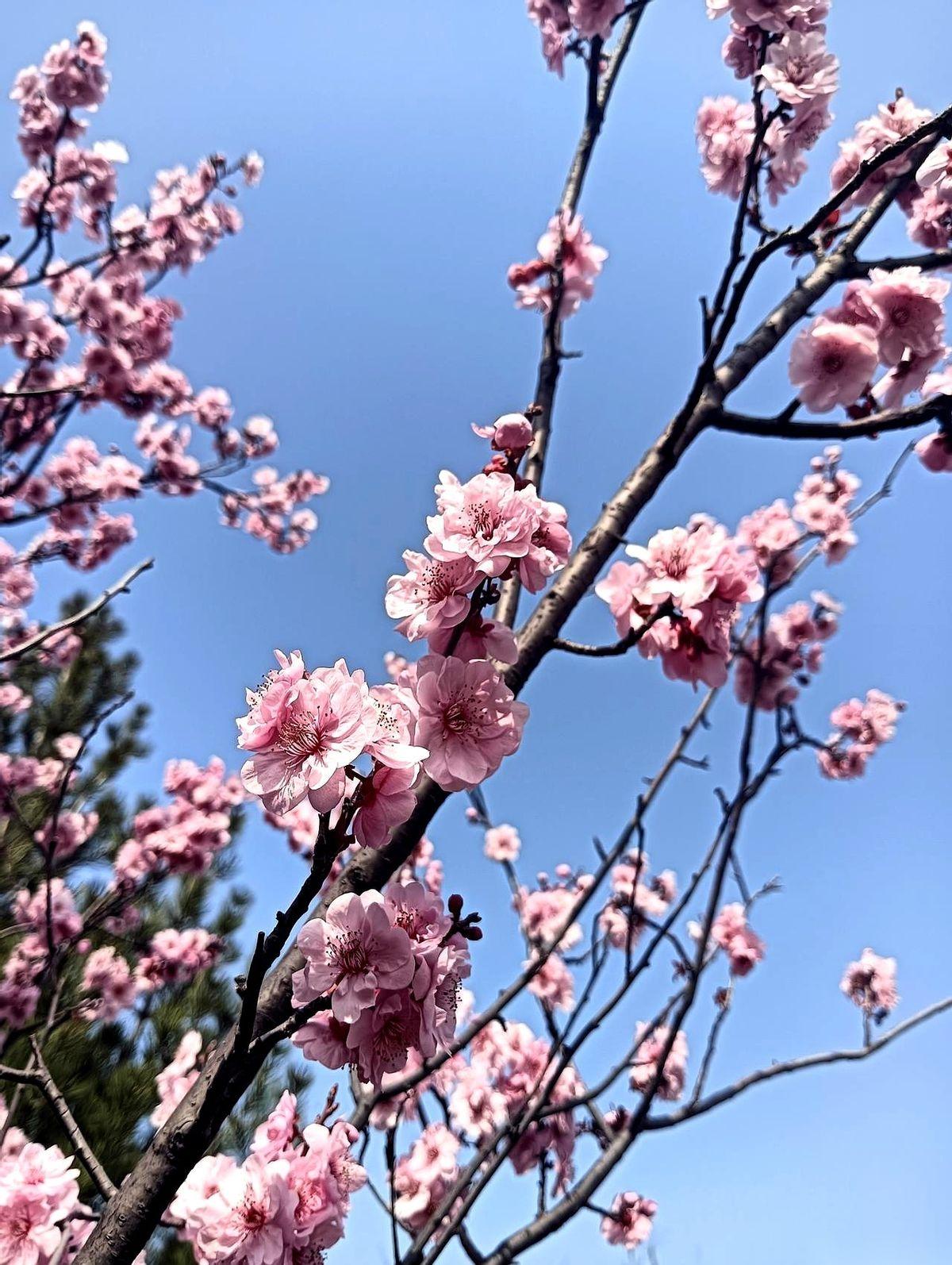 明天开盘，注定是一场多空肉搏。
外面，川普一句话，华尔街那边直接踩踏了，资金跟不