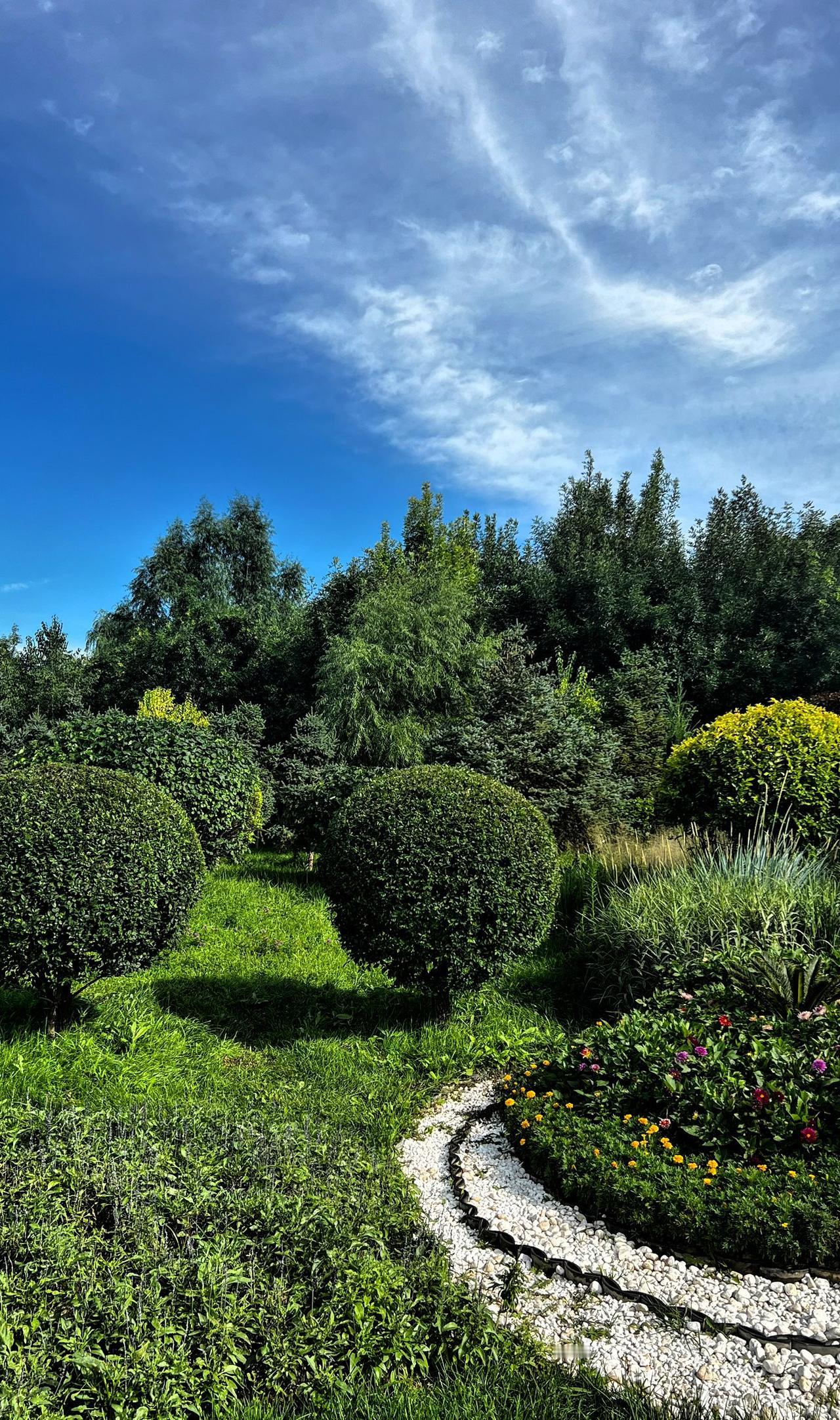 原创，手机摄影