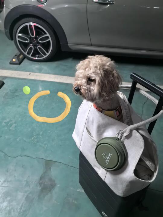 哼，又要抛下我自己出去玩～