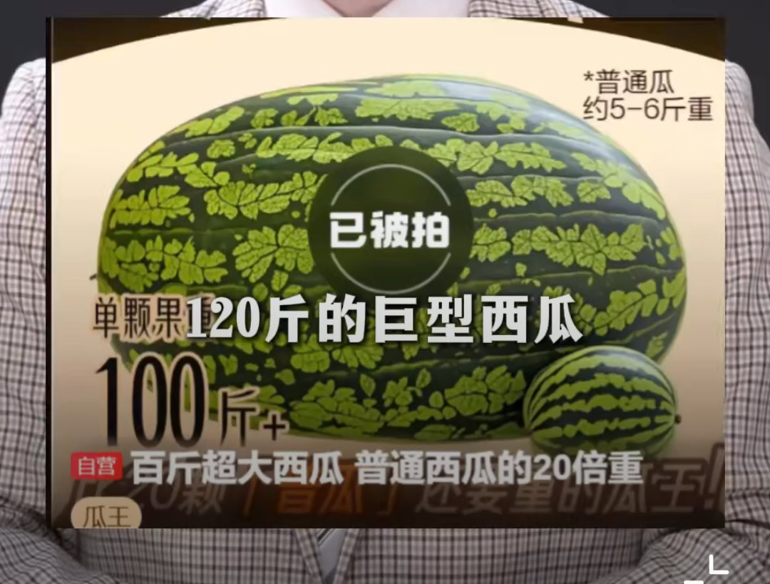 120斤西瓜瓜王拍卖仅617元成交肯定属于捡大漏了。6月10日晚，北京瓜农李铁军