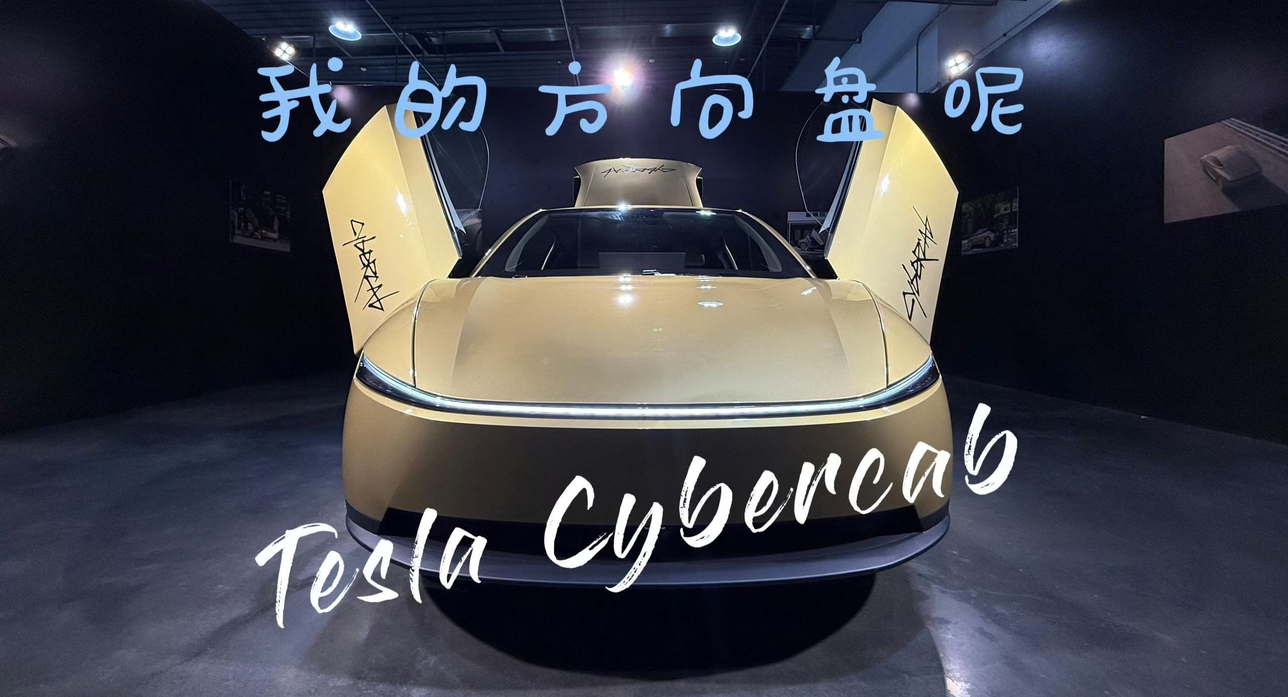 我的方向盘呢？Tesla Cybercab！