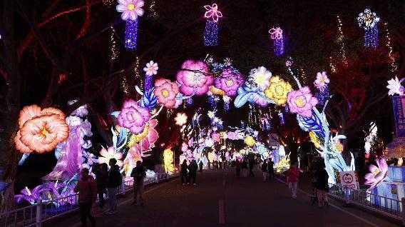 南沙灯会正式亮灯运营！你来打卡了没？