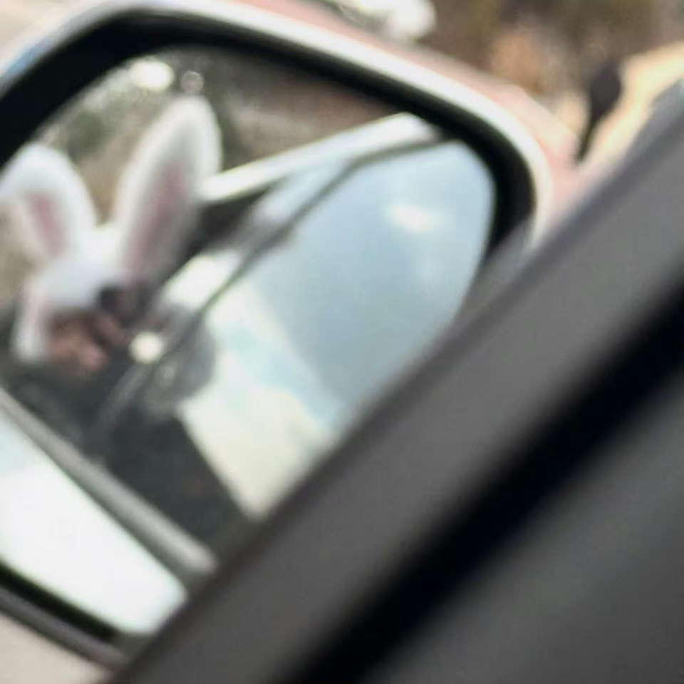 嗑颜bot sana IG更新！兔子来袭🐰 