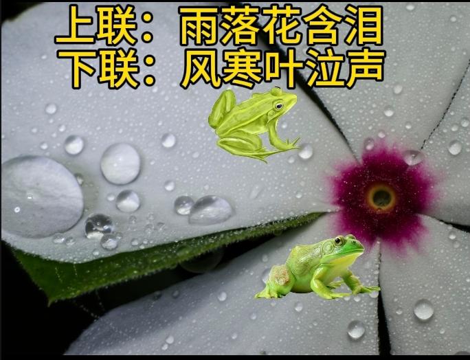 下联：风寒叶泣声
横批：风雨同悲