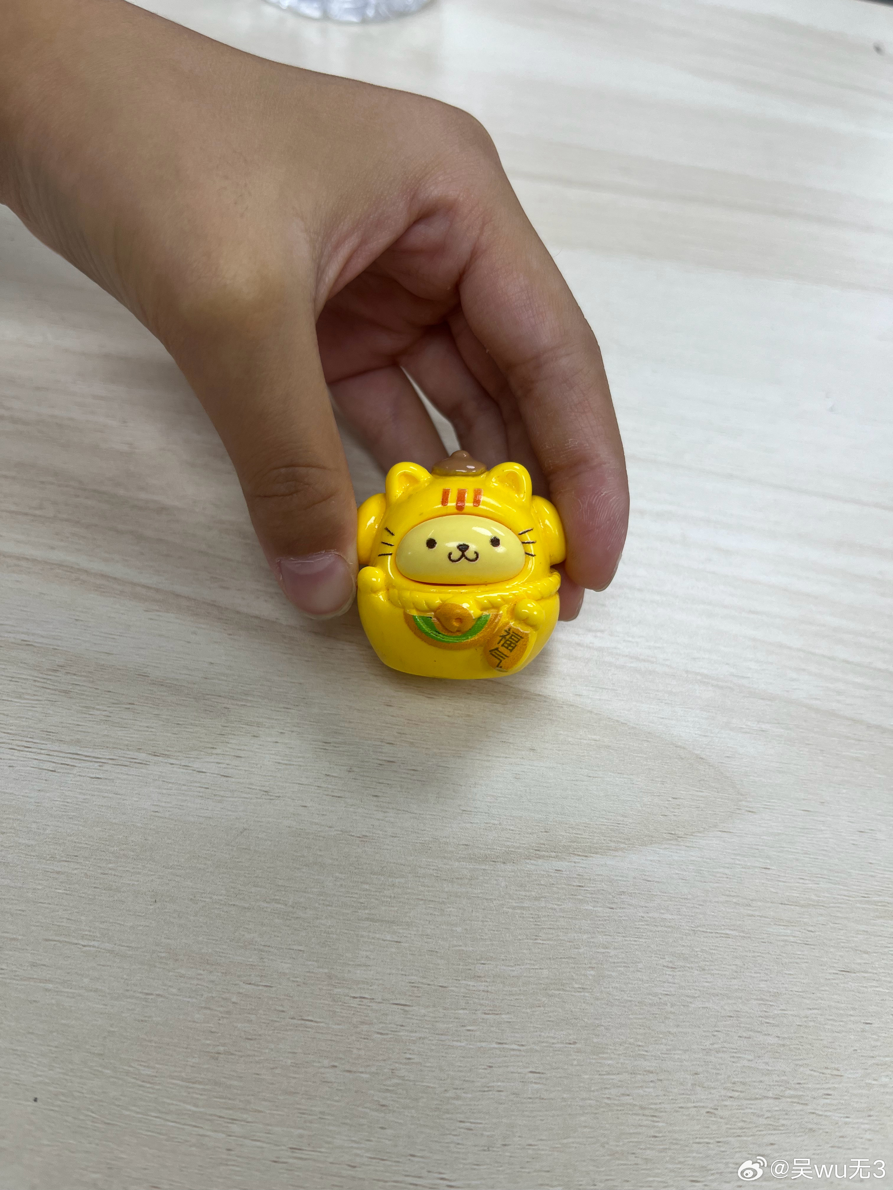 小朋友说这个叫福宝，真是可爱。 