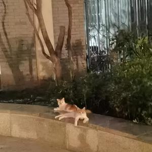 思远郑飞