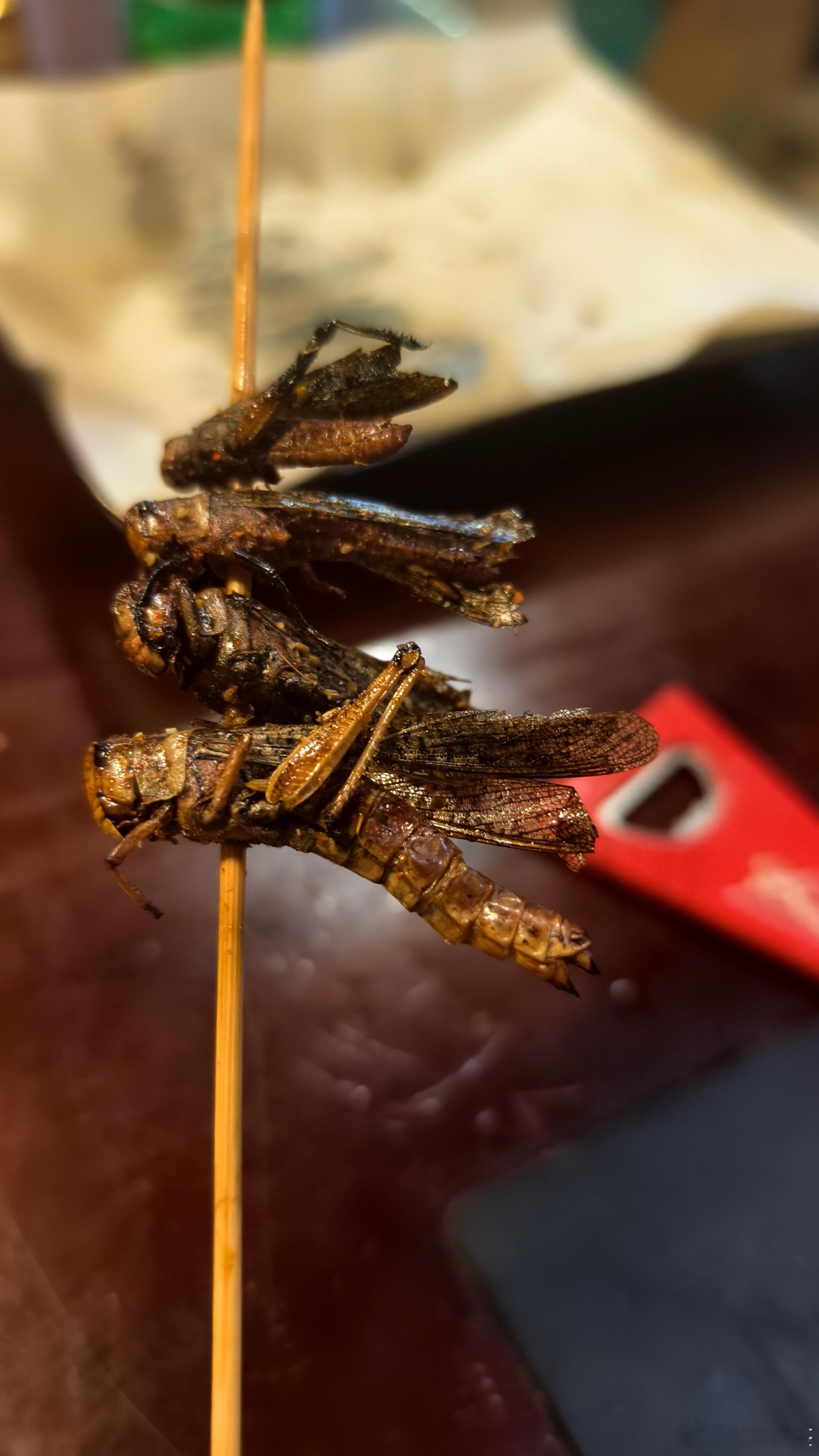 振兴乡村第一步，先消灭害虫 ​​​