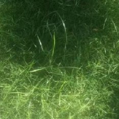 温柔以待，善意相伴，便是对生活最好的回应。每日留一份善念在心底，付诸一份善举在日