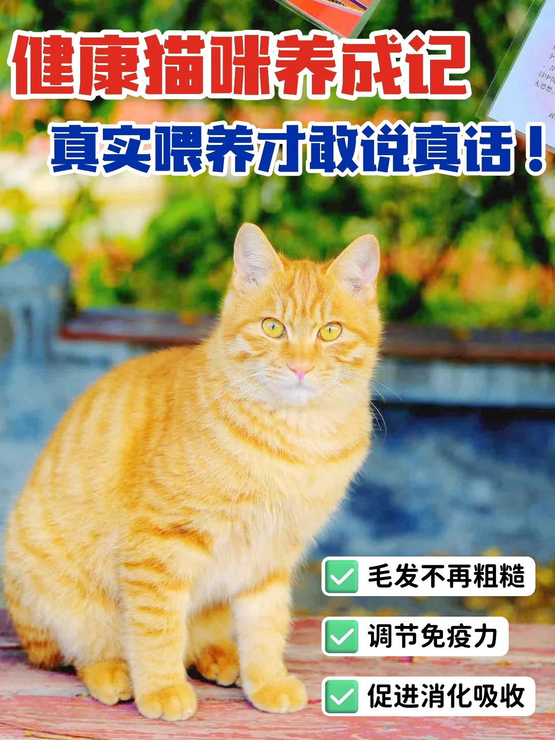 谁懂啊 没有猫咪能拒绝这款猫粮！