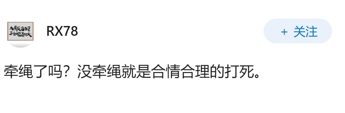 街道打狗队无端打死证件齐全的小型犬，犬只主人该如何维权？