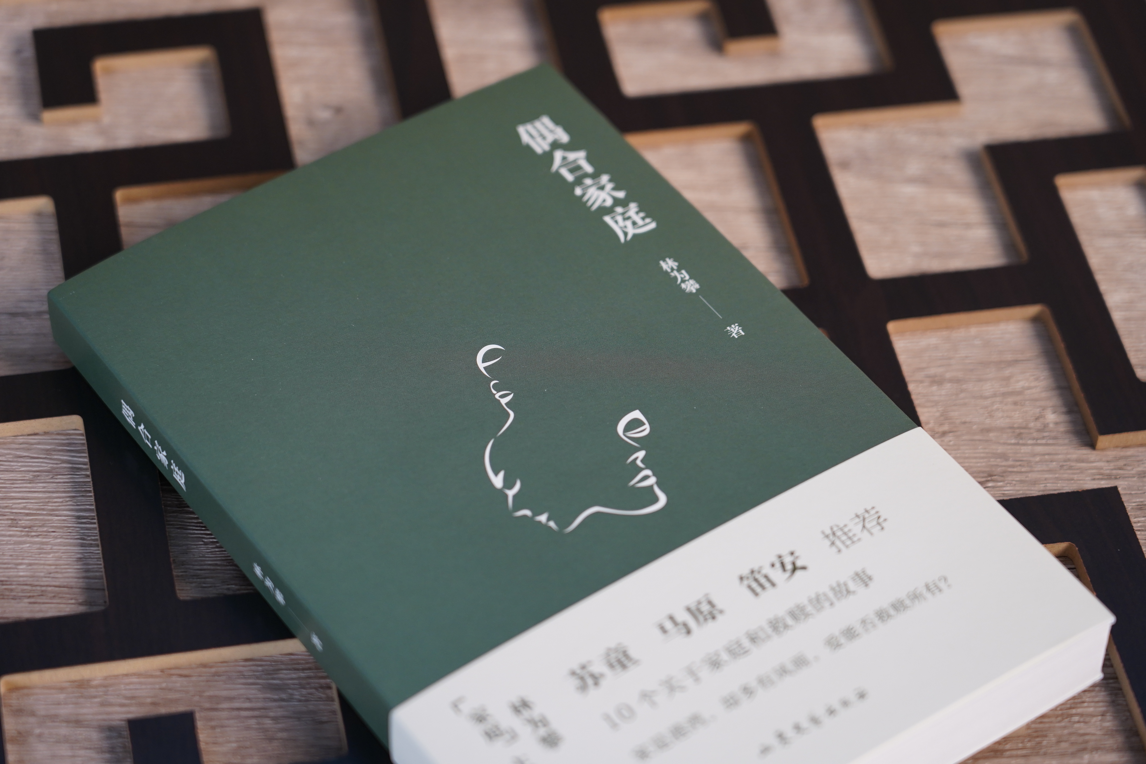 #开学季##人间阅读# 推荐阅读的一本新书——《偶合家庭》，这是林为攀首部“家庭