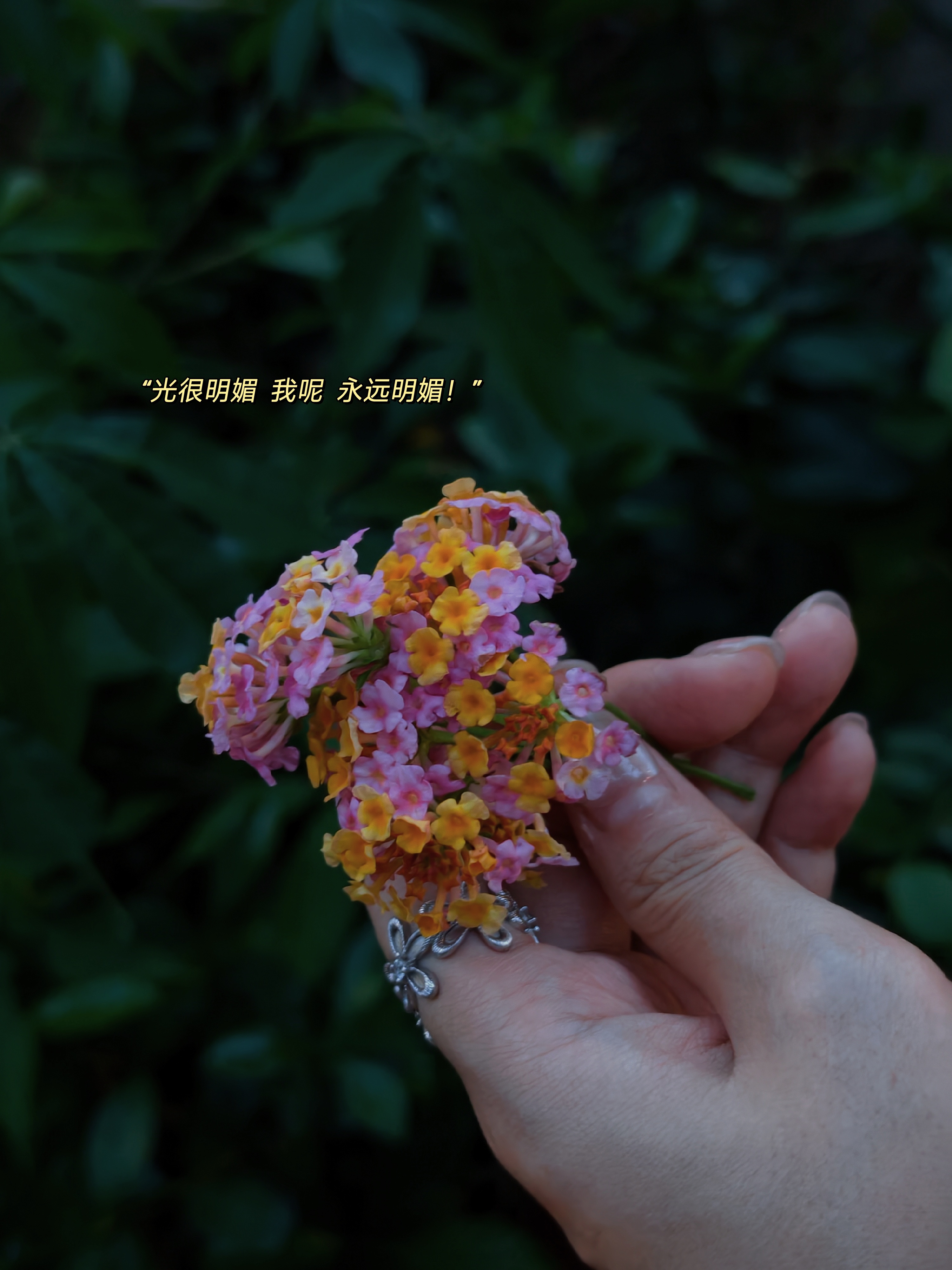 最近这两年最不同的变化，和我共事很久的小伙伴说你终于不再只围绕的你的家，你的孩子