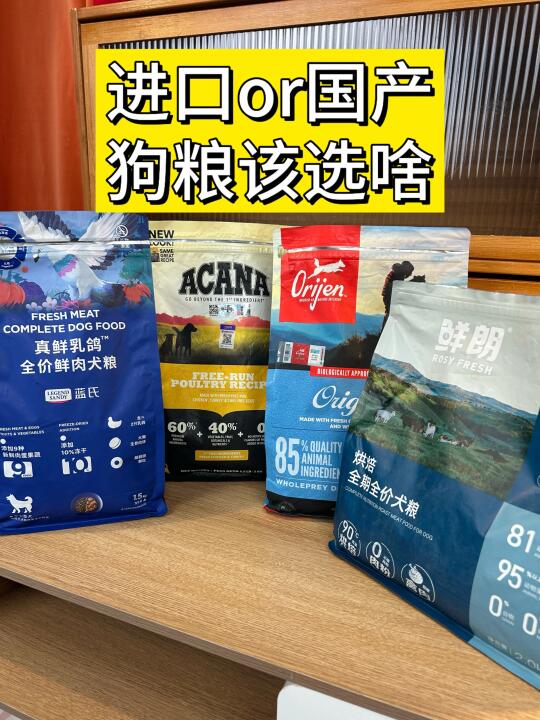 新手养狗｜进口狗粮vs国产狗粮选哪个？