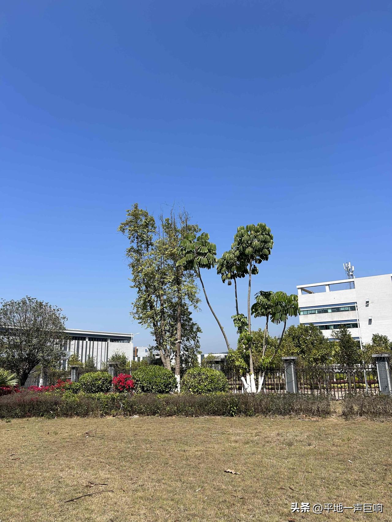 天之道，损有余以补不足，人之道，损不足以奉有余。

道德经这一部经典著作早就告诉