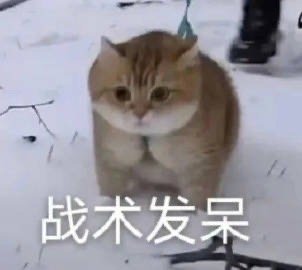 我最近在忙私事，后天回来陪大家 