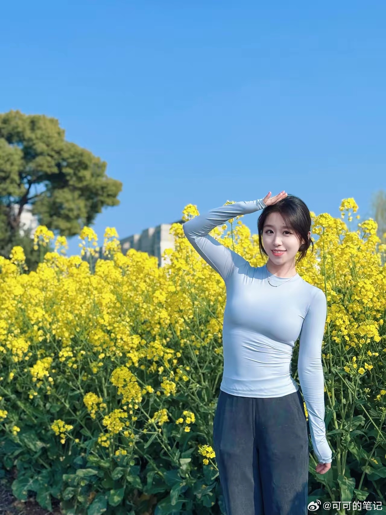 听风在和我说话 