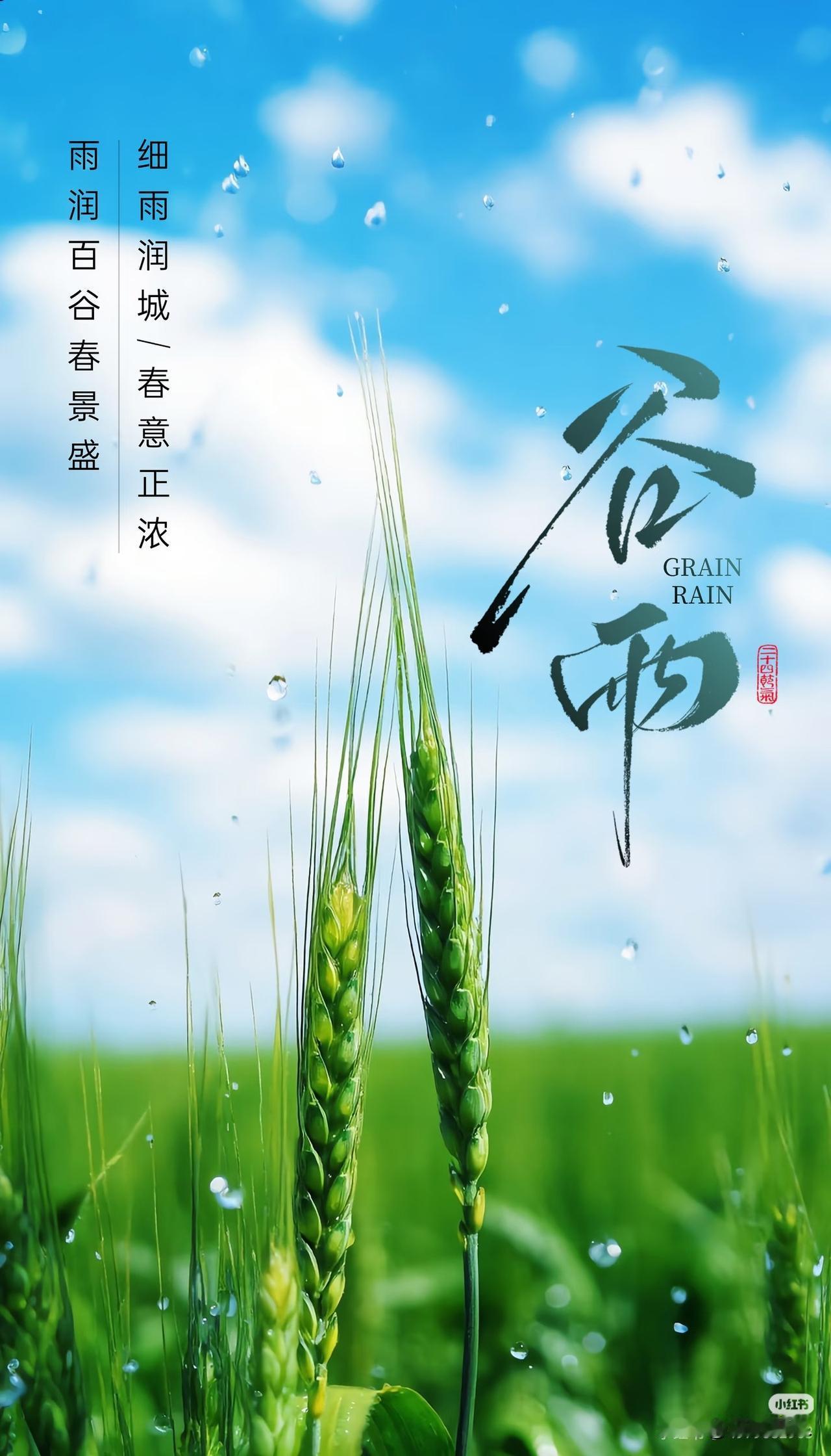 雨润百谷春景盛