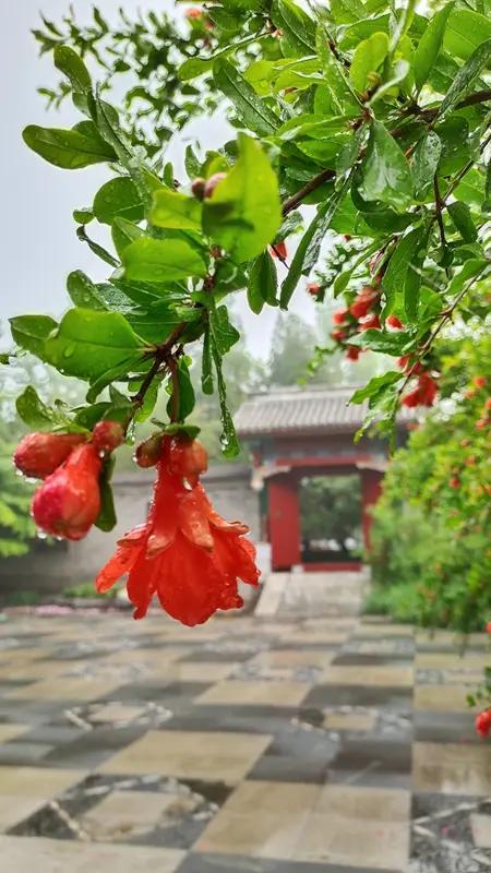 看到“雨润红花满院香”征上联，我这脑瓜子立马就开始转啦。对联讲究对仗工整，词性和