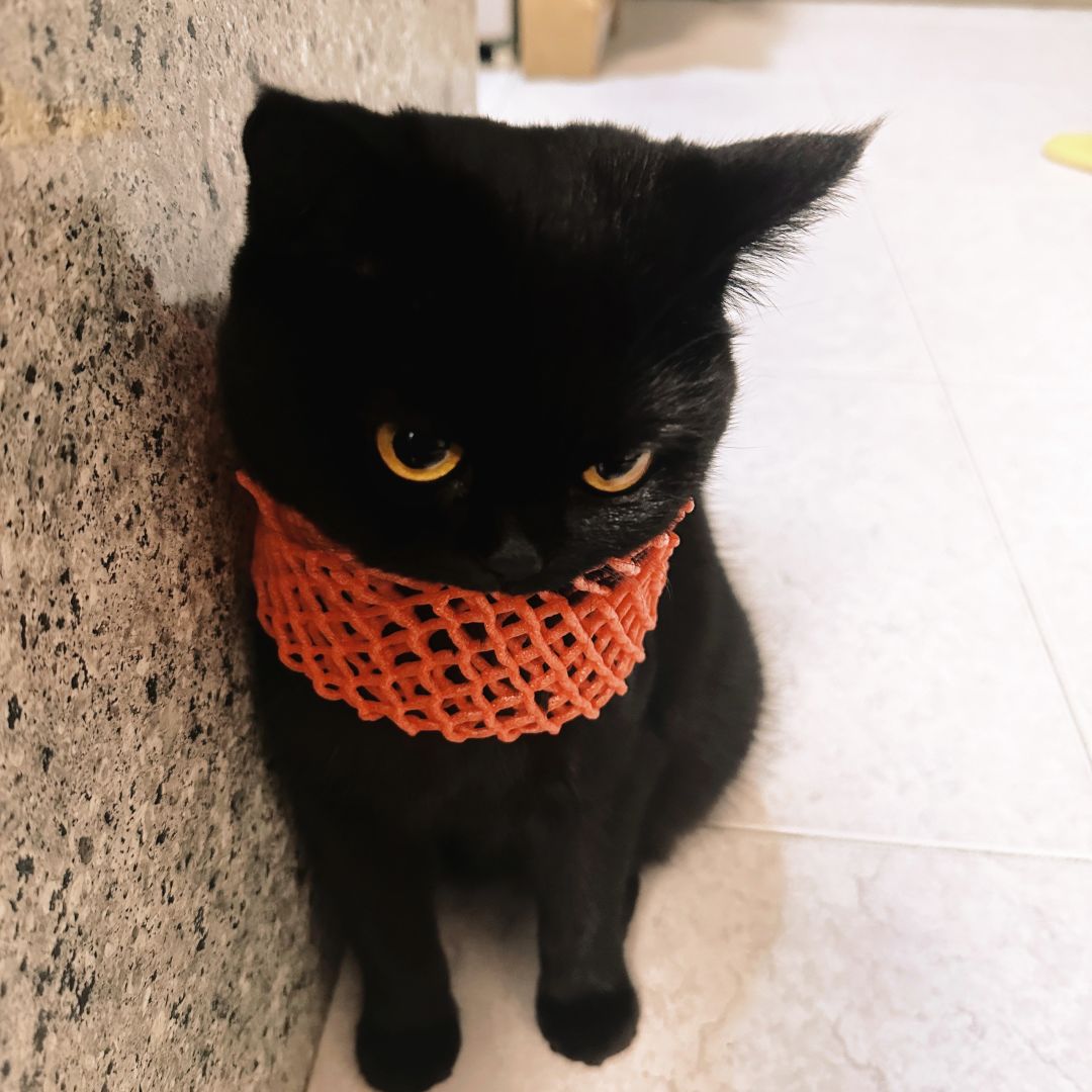 家里新来的水果看起来不太高兴