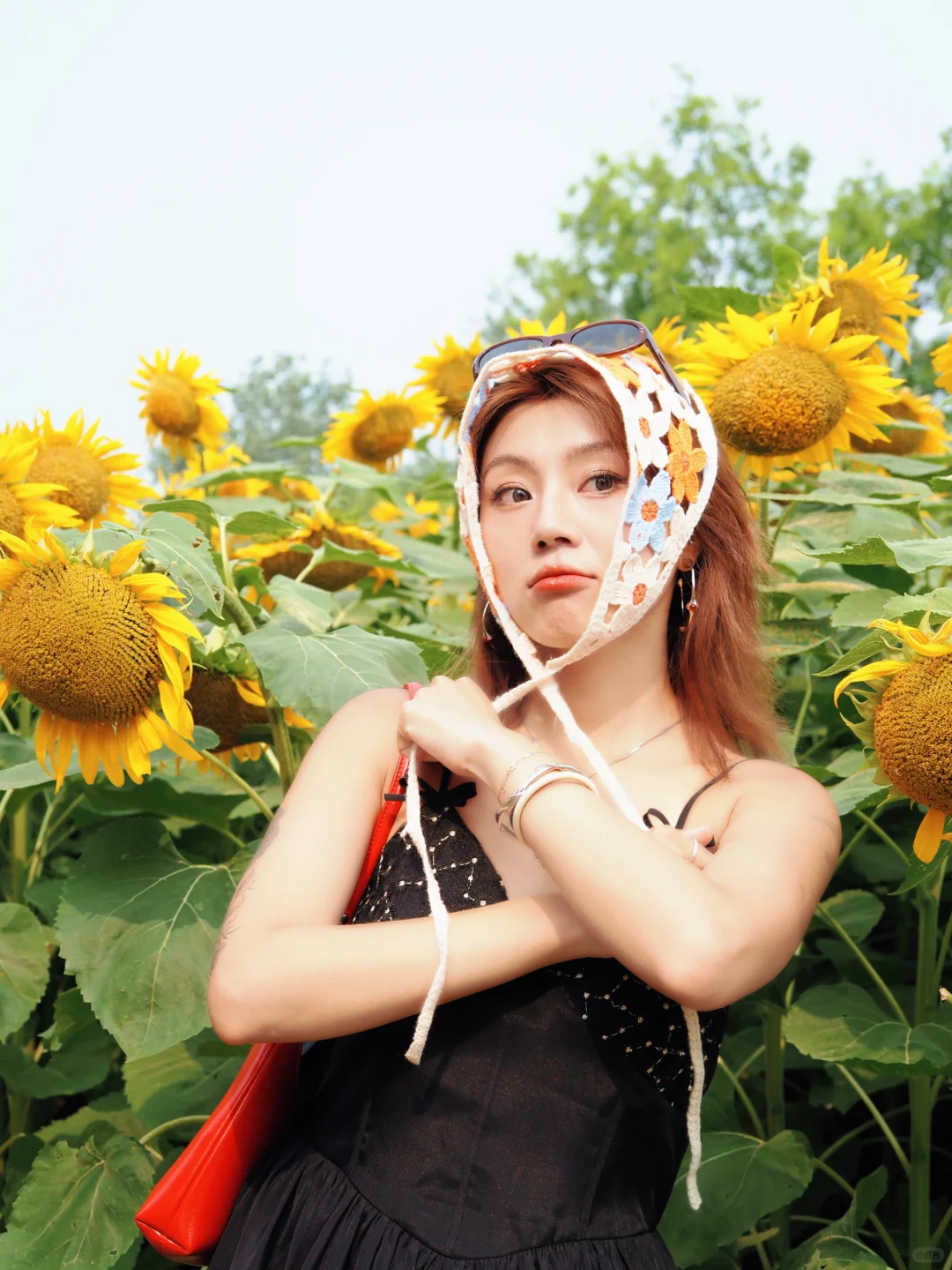 7月顶流奥森向日葵🌻花海实况 附拍照攻略⬇️