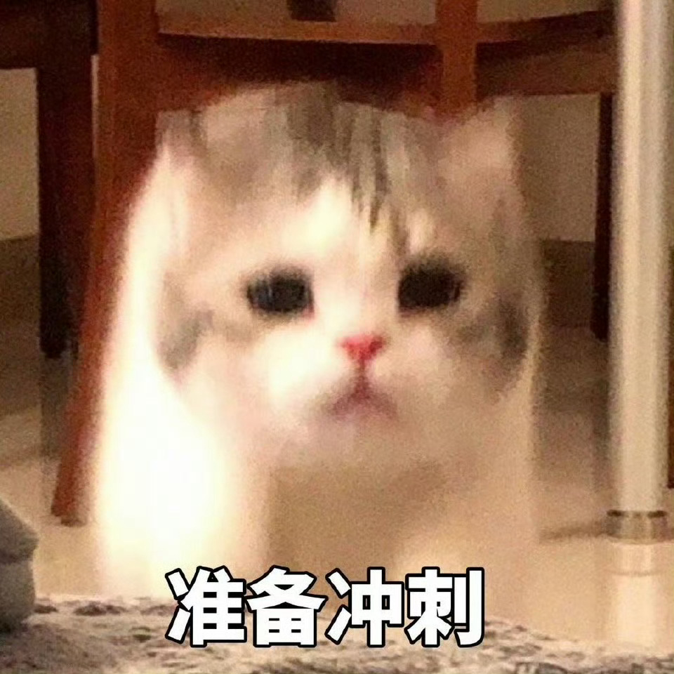 早！起了的小伙伴再来点一波！一博（内👍🏻3万 ，总👍百万，卷28万 ​​​