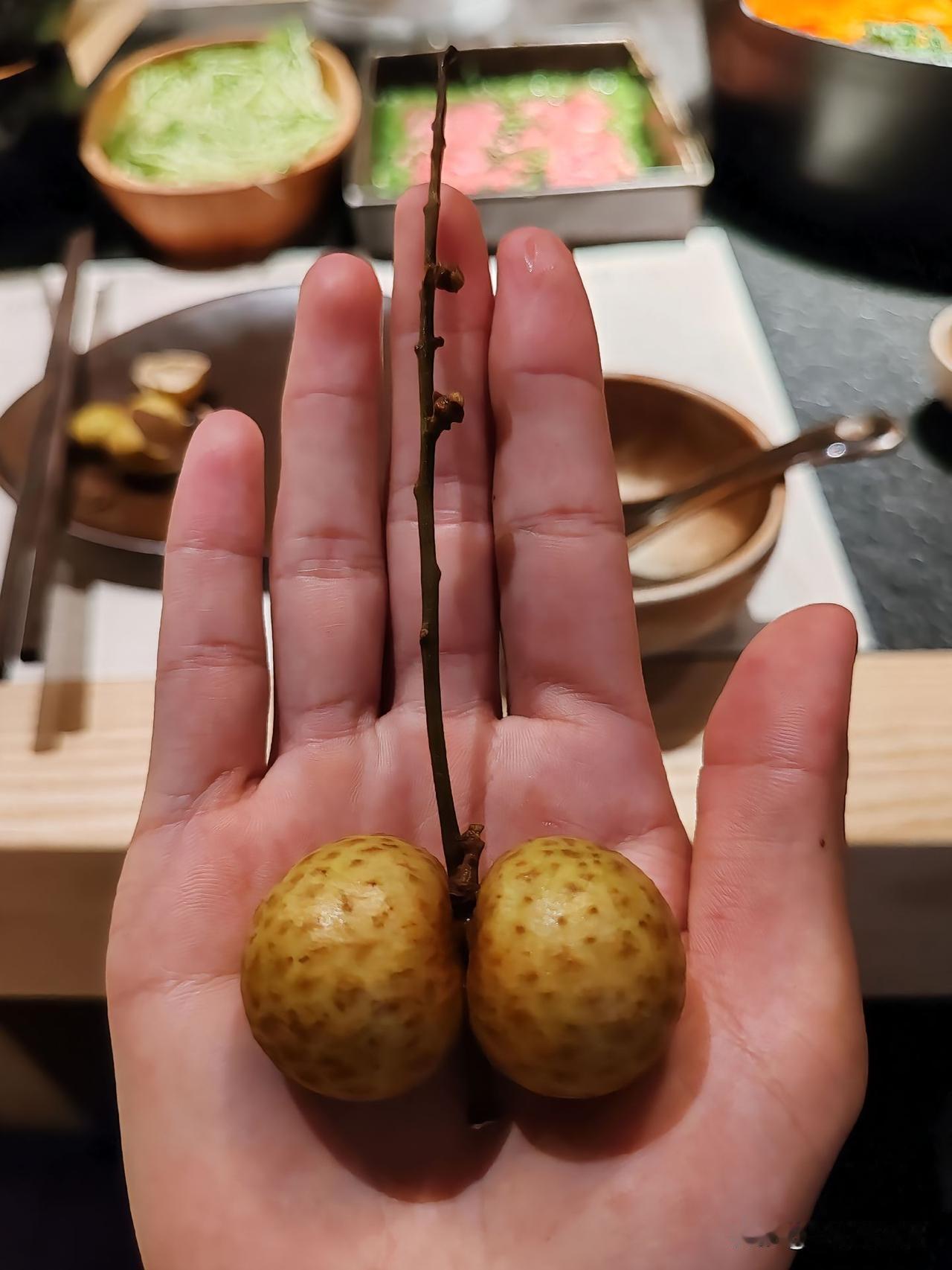 万能生活指南咋这么眼熟呢……[捂脸]