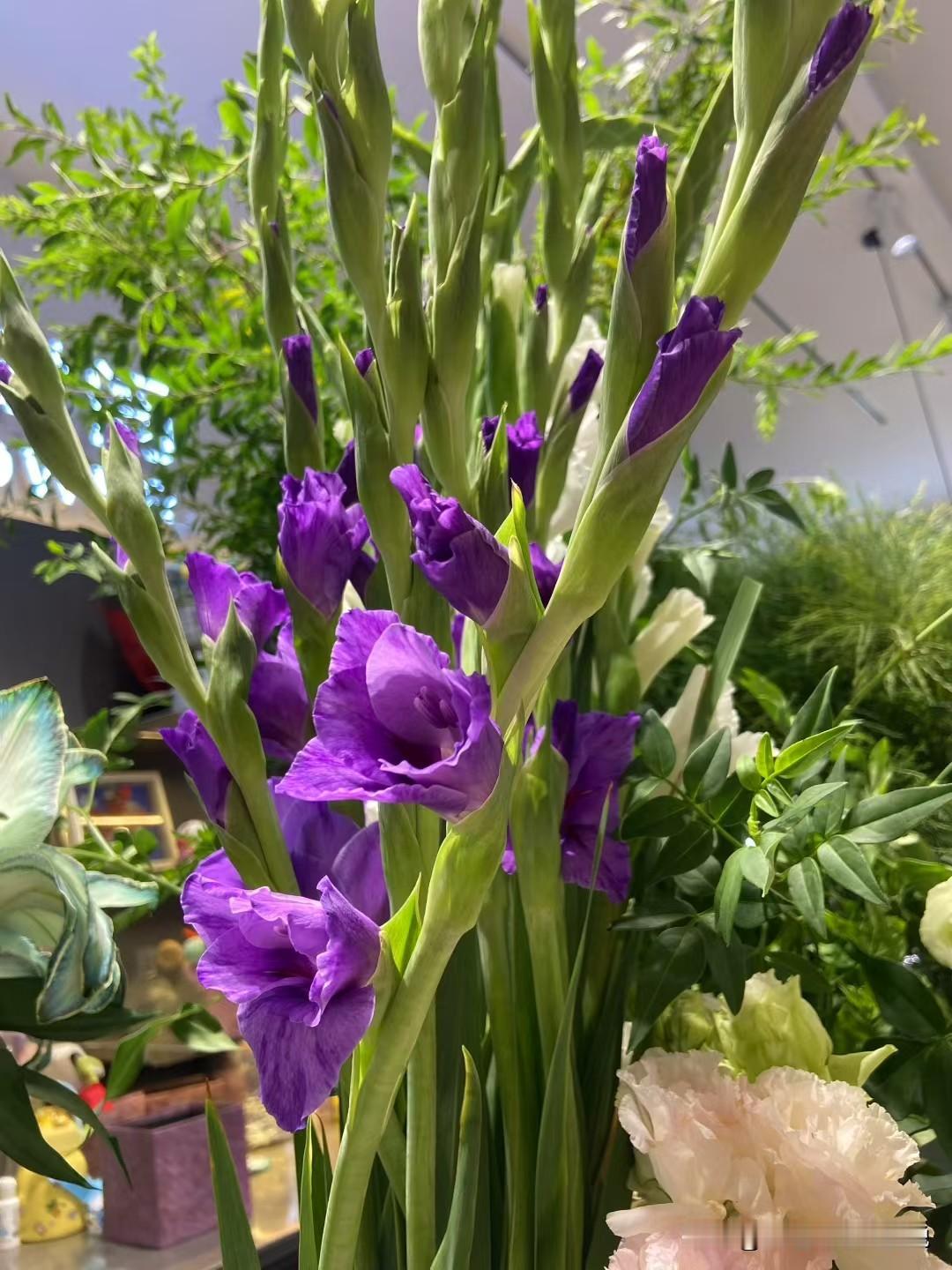 秋天，你能看见这么艳的花吗？我见到了，可能是水培的[微风]