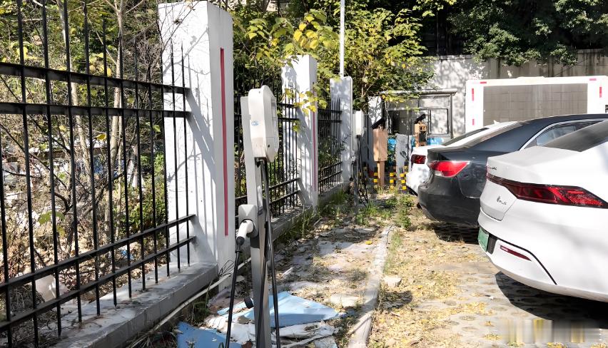 江西驴充充：为绿色出行“充电”，为美好生活“充能”在绿色出行蔚然成风的今天，当我