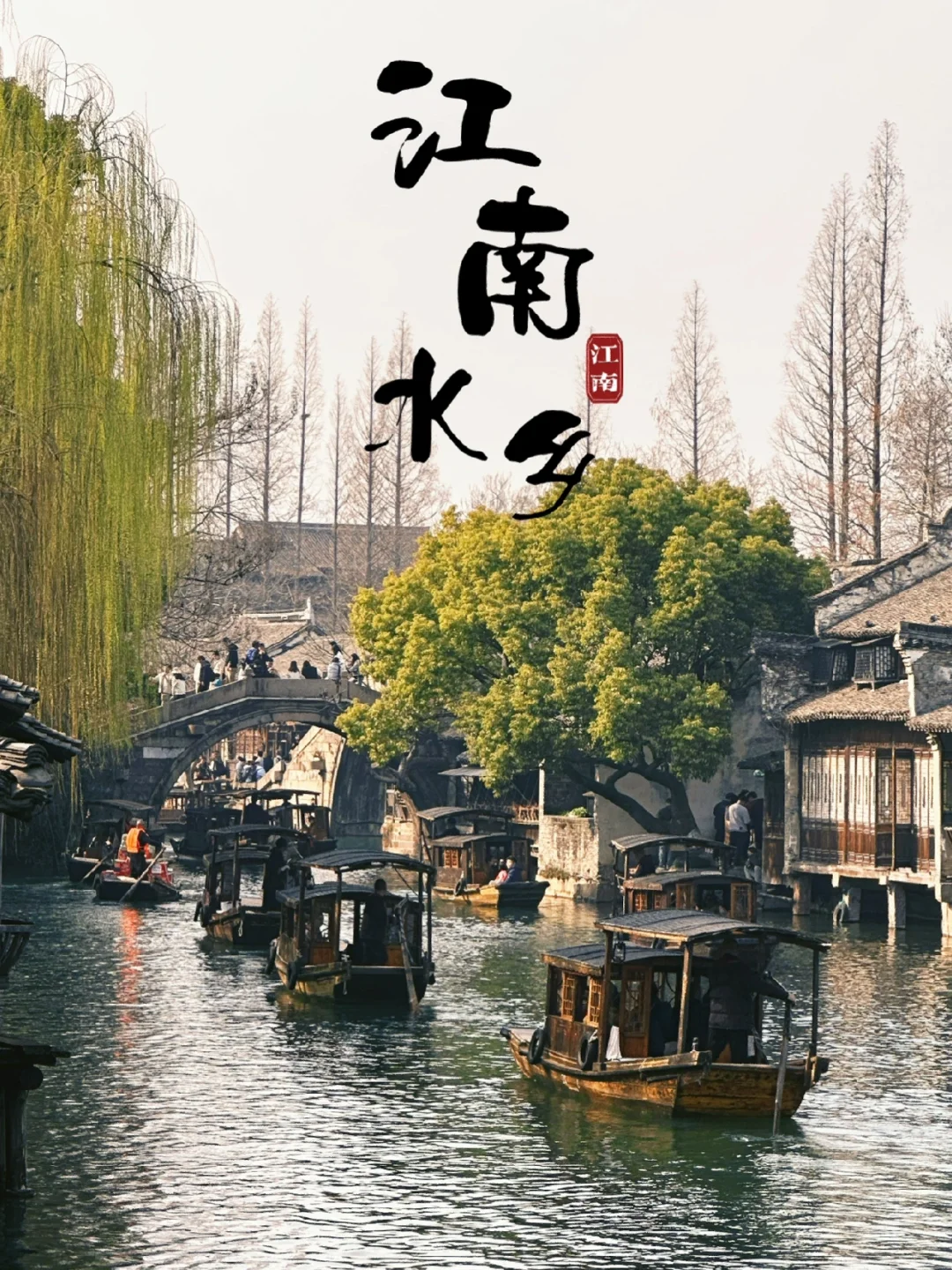 去了乌镇99次，用心总结的旅游攻略‼️