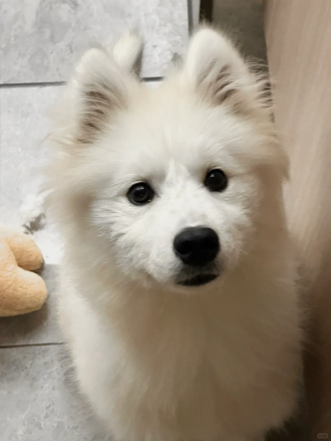 孩子不愿意给别人分享玩具是自私吗