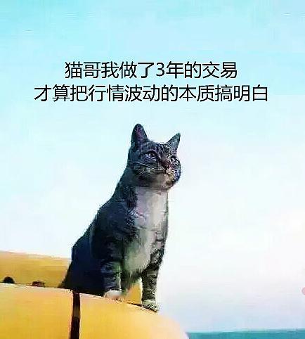 交易到底有多难？看看下面这个调查你就知道了。 　　学习交易基础知识淘汰60%不爱