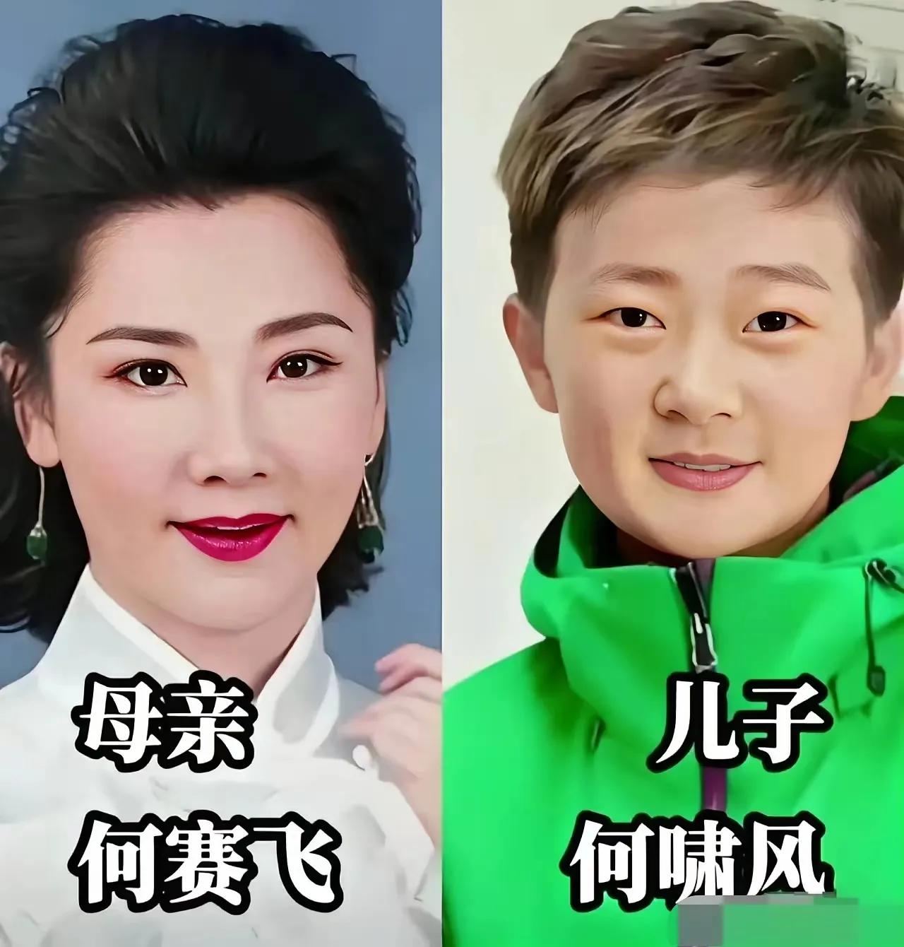 儿子长得像妈妈的杨颖。
儿子长得像妈妈的何赛飞。
儿子长得像妈妈的陈红。
儿子长