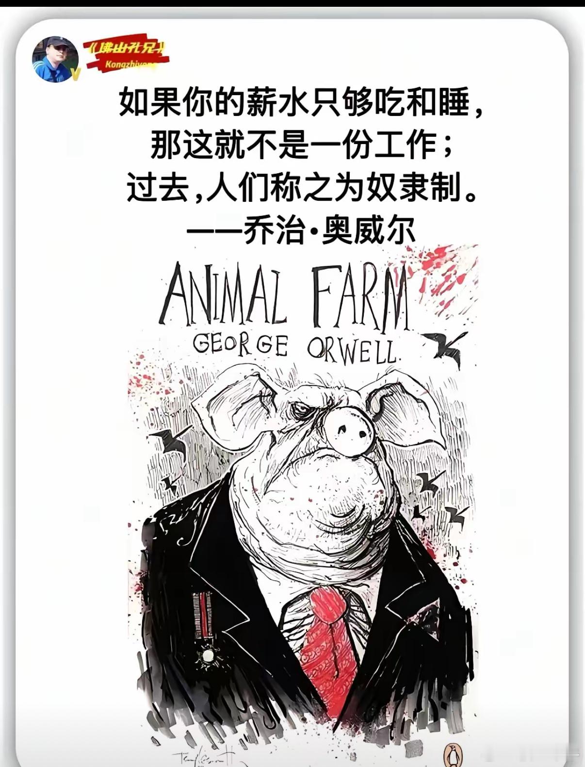原来我还不如奴隶