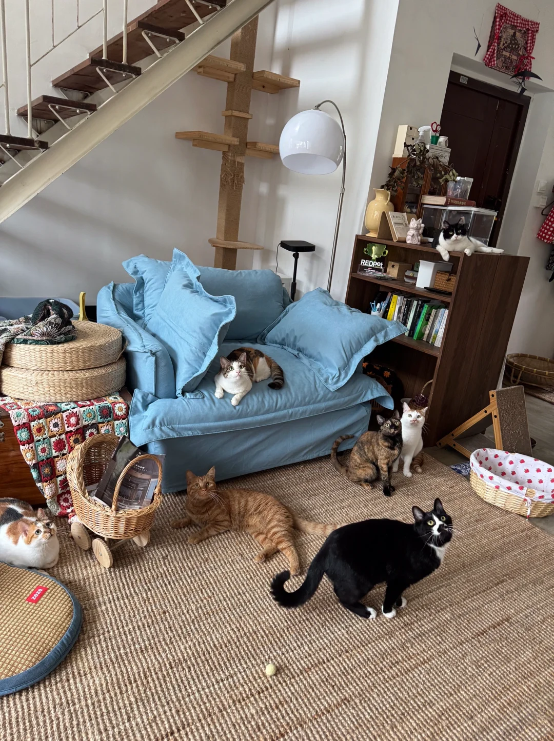 蓝色沙发套拿捏住了夏日清凉感！