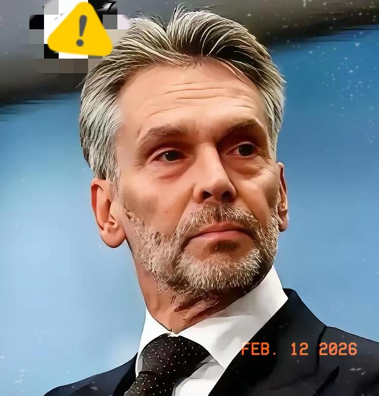 荷兰企业法庭做出裁决
2月11日，闻泰科技发布公告，荷兰企业法庭做出裁决，维持了