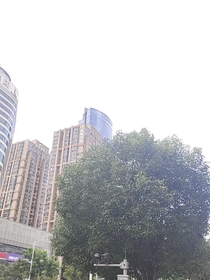 昆明今天可算放晴啦，阳光洒在大街小巷，心情都跟着明亮起来。出门溜达，街边的花草都