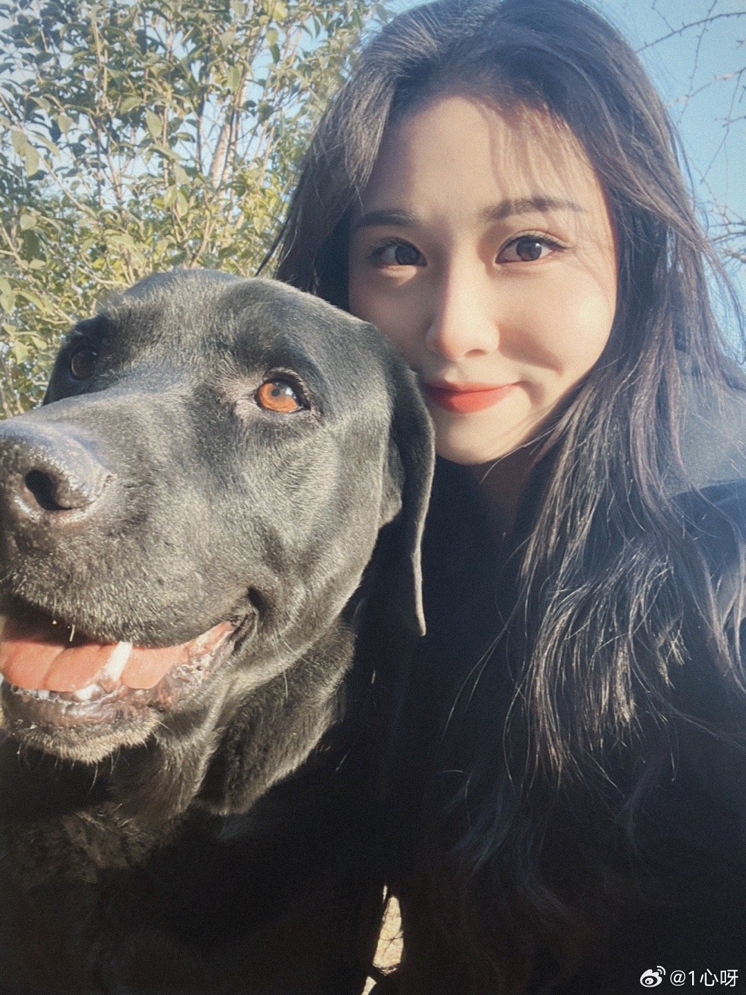 我的小狗最近拉肚子昨天狠狠挨一针 ​​​
