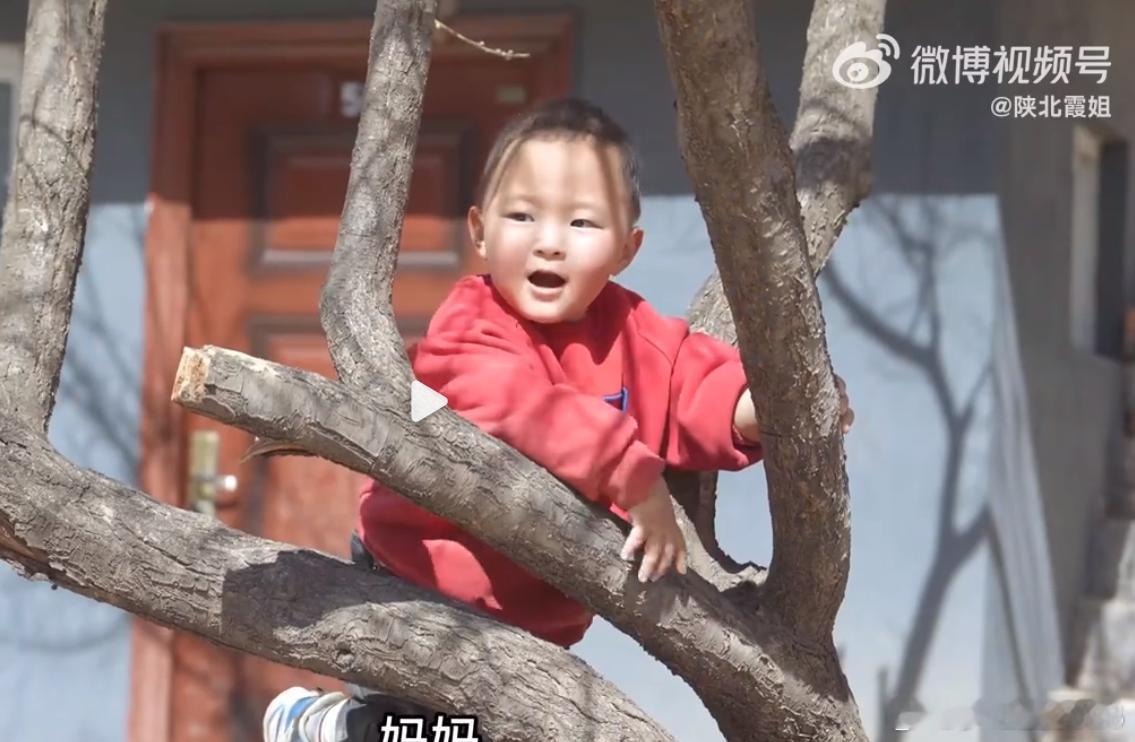 左边陕北霞姐的娃，和我家胖娃娃有点像