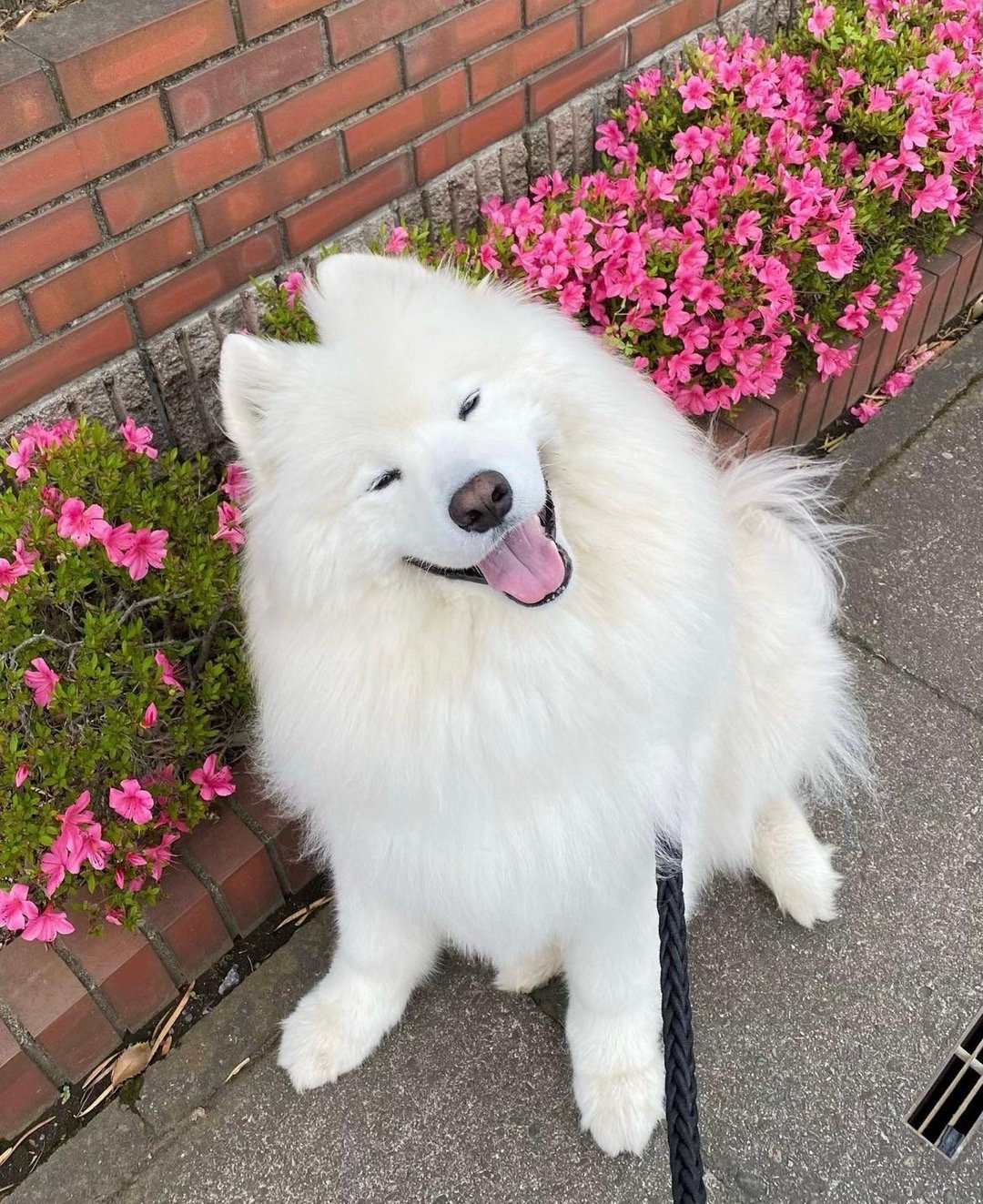 明天你也要开心耶 