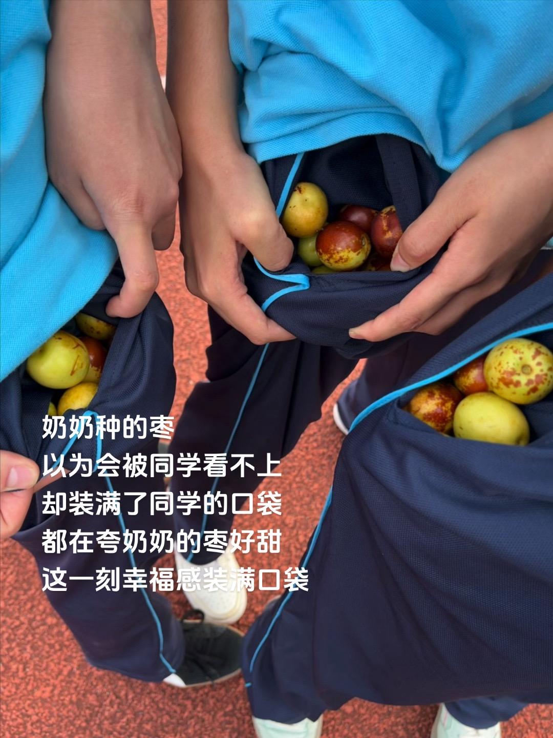 每当秋天到来 我们把枣装满口袋
