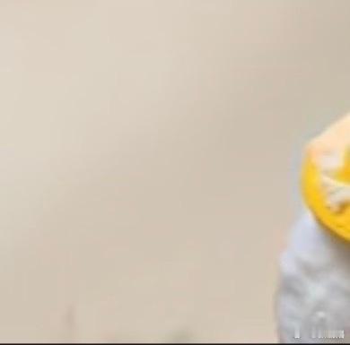 只把一件事做好，就是生活本初的节奏，再忙再累的日子都会云淡风轻，再苦再咸的生活都