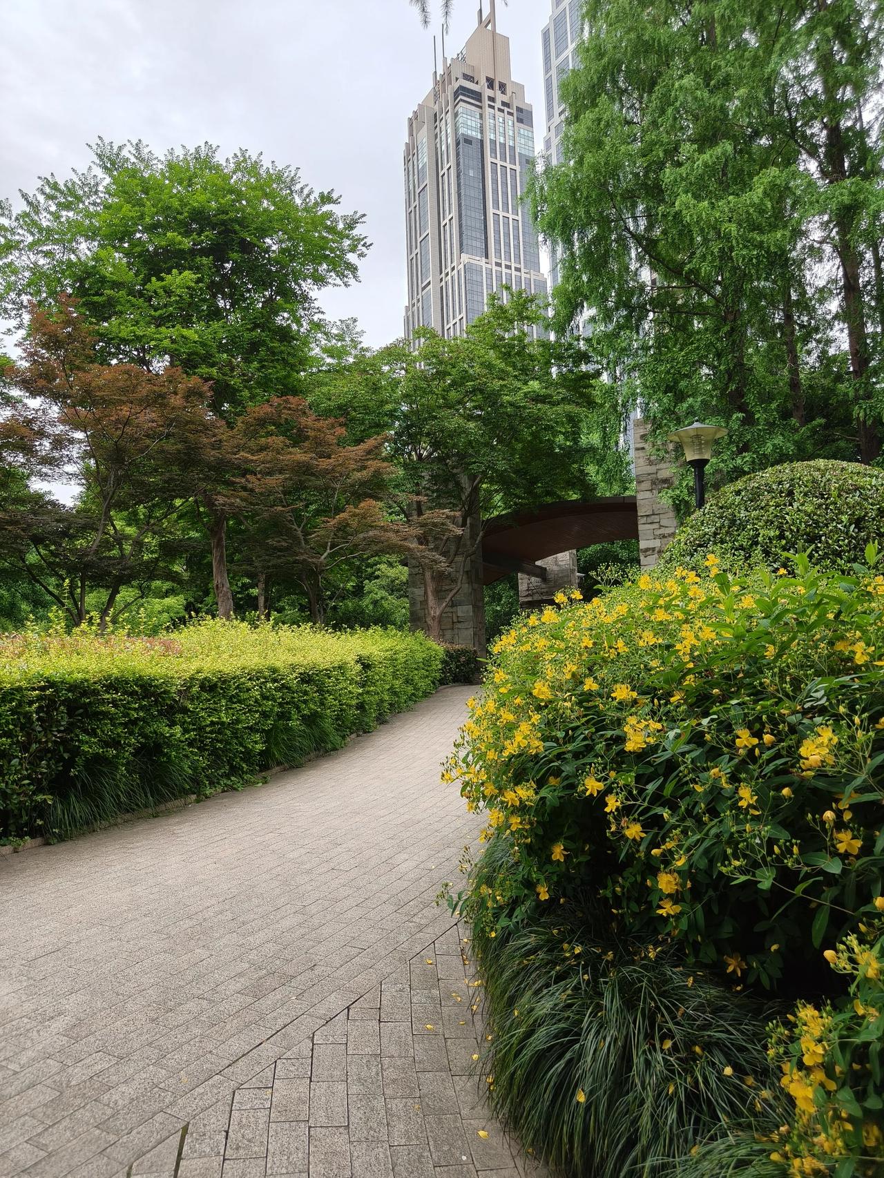 初夏美景随手拍实景图分享！

城市🏙️绿肺🌿散步🚶🏻‍♀️🚶🏻‍♂️