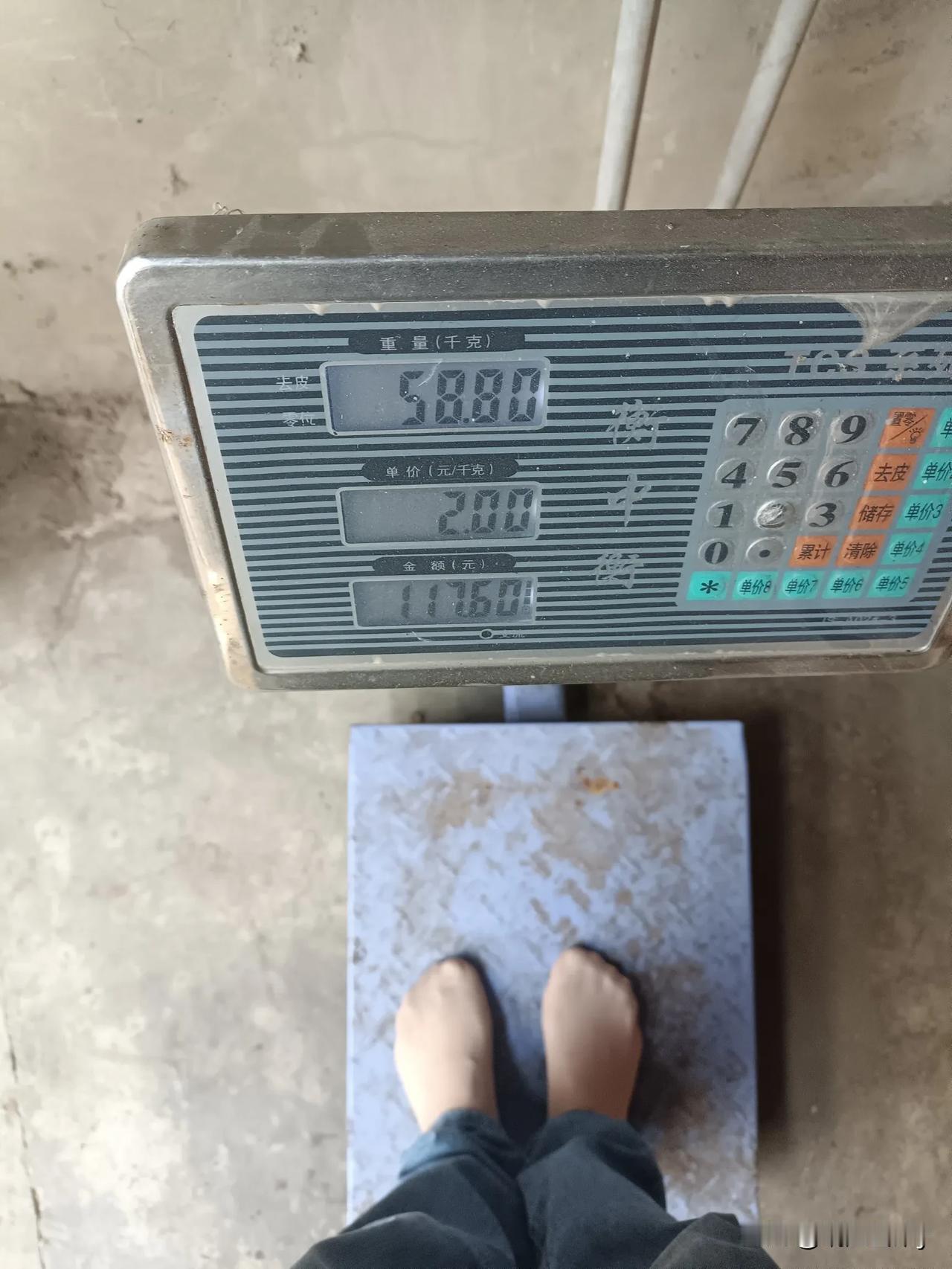 #记录秋日生活#今天早上起来，打开秤来称一下体重。真是有点让人意料之外哦！夏天的